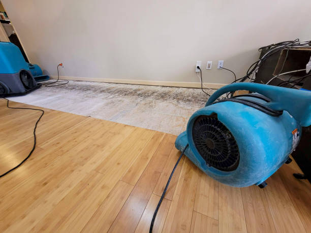 Professional Sewage Cleanup technician working in Gardena, CA